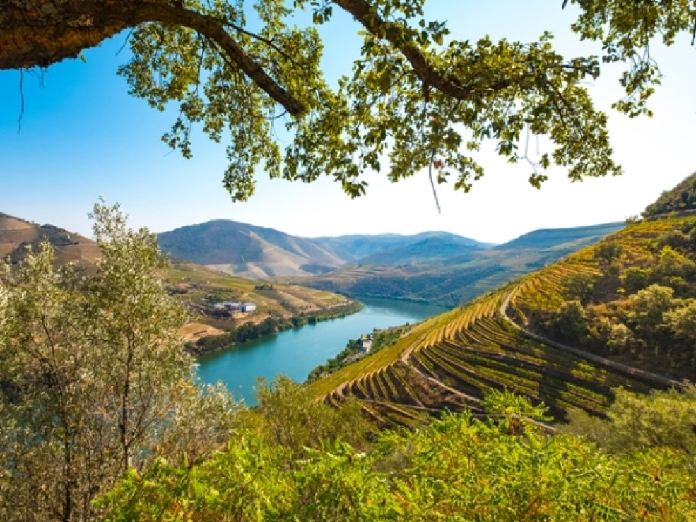 Nord du Douro Portugal