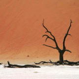 Image pour Namibie