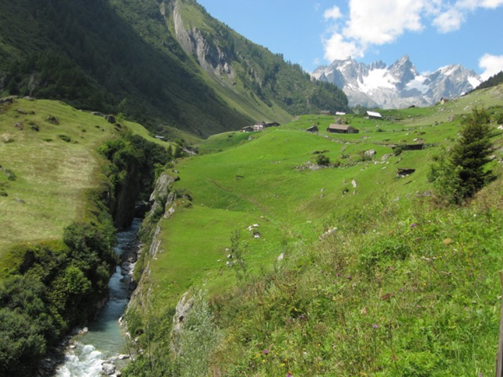 Suisse