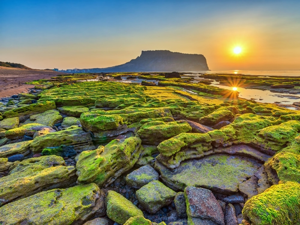 Nature en Corée du Sud - Île de Jeju