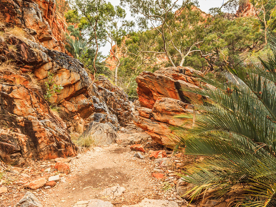 Itinéraires de randonnée en Australie Itinéraires de randonnée en Australie