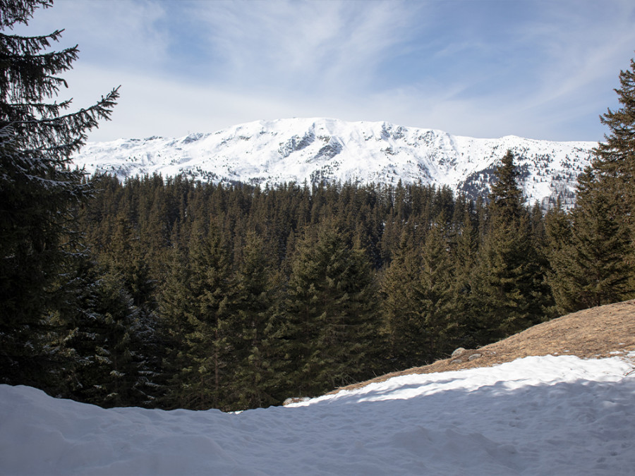 La nature à Méribel La nature à Méribel