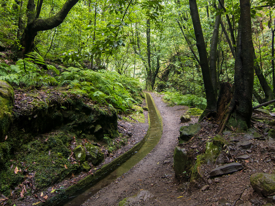 Levada Madère