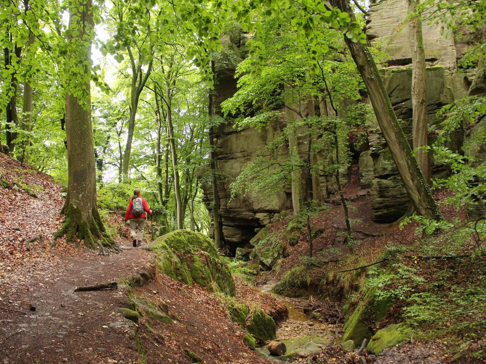 Nature au Luxembourg