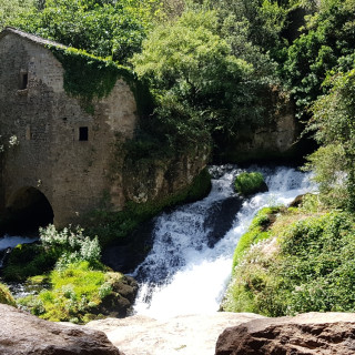 Image pour Cévennes en France