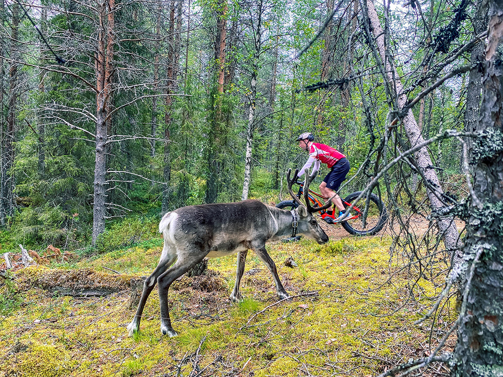 Voyage actif en Laponie finlandaise en été