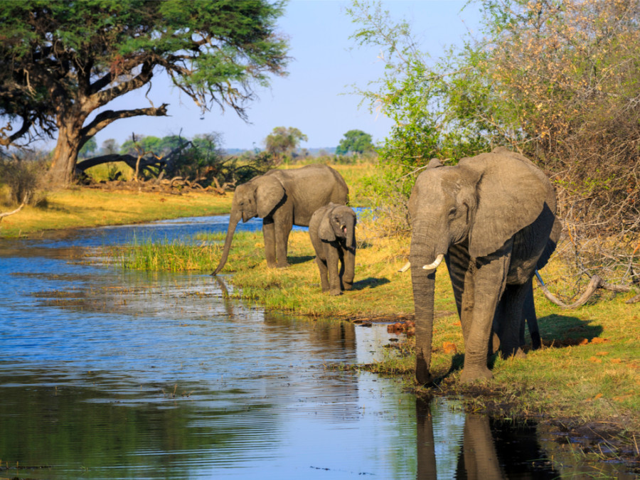 Caprivi en Namibie