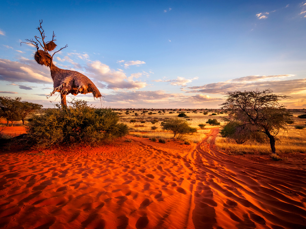 Bassin du Kalahari, Namibie
