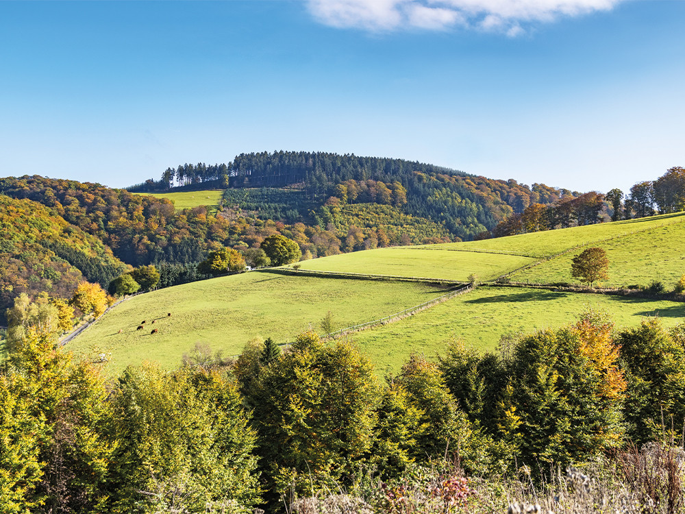 Les montagnes du Sauerland