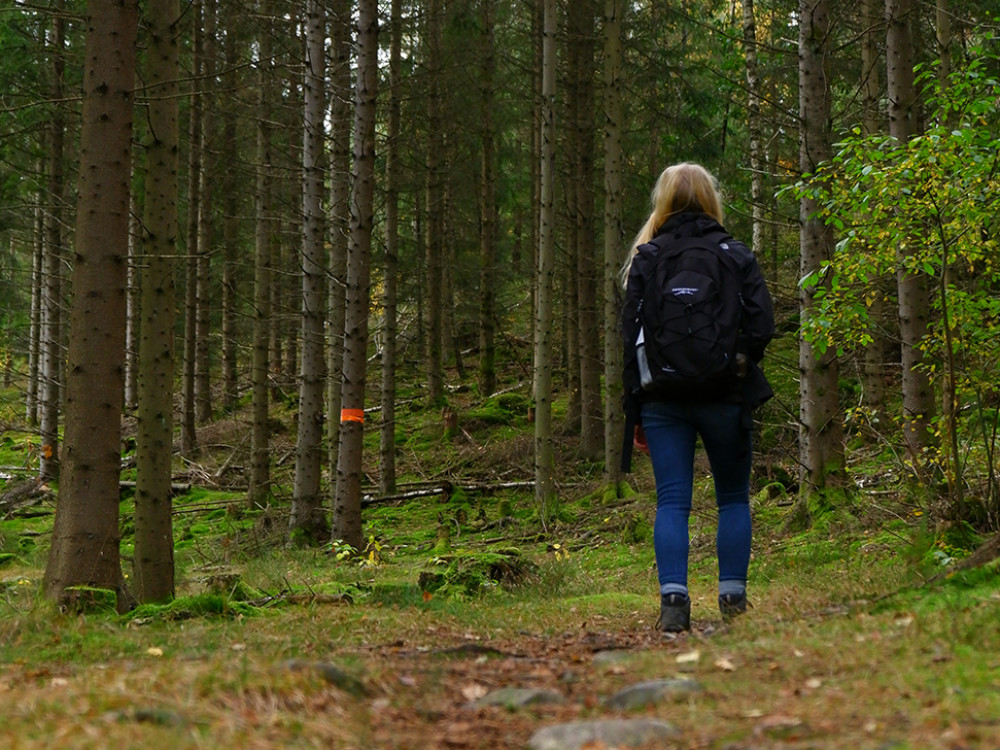 Nature en Suède de l'ouest
