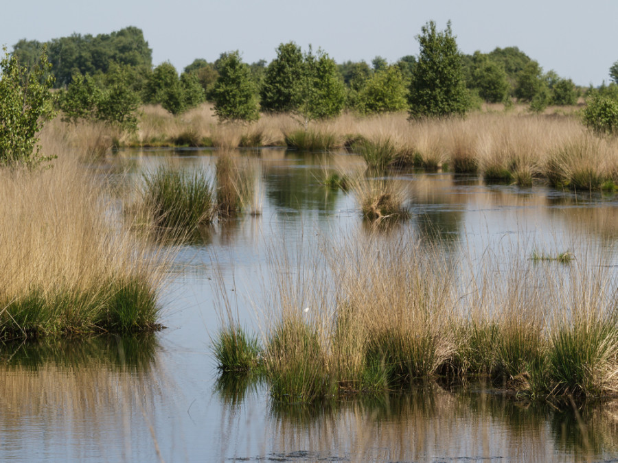Belle province de Drenthe