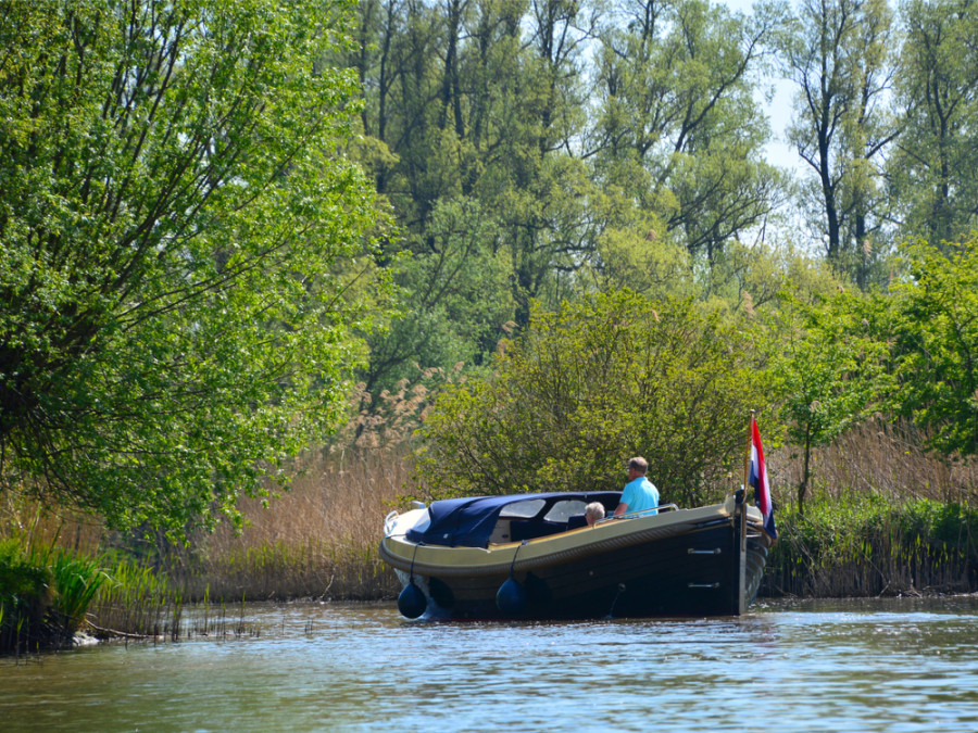 Parc du Biesbosch