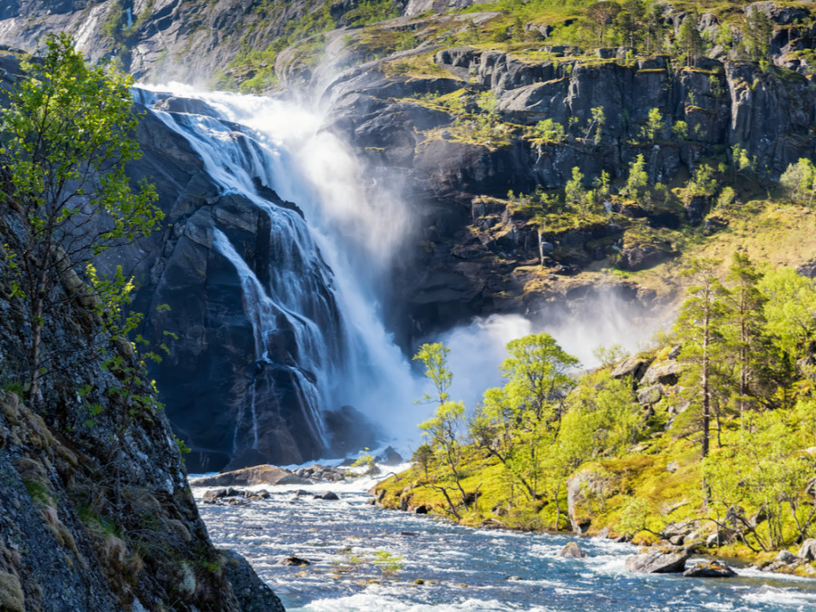 Nature sauvage en Norvège