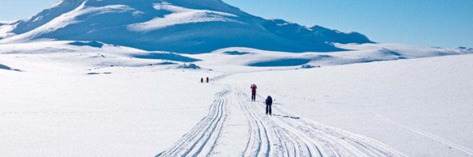 Top foto voor Hiver