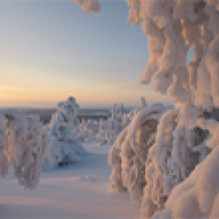 Image pour Nordic - Finlande