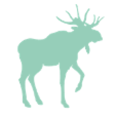 Logo van Nordic - Le Spécialiste des voyages en Scandinavie