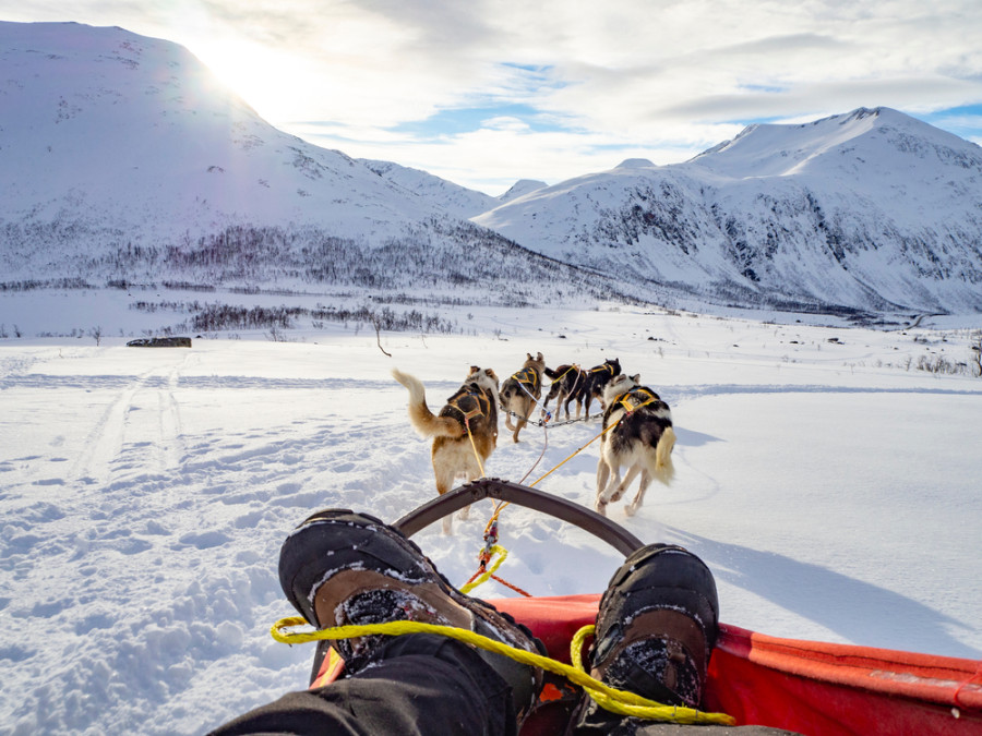 Traîneau à chiens en Norvège