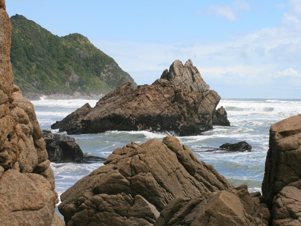 Côte néo-zélandaise