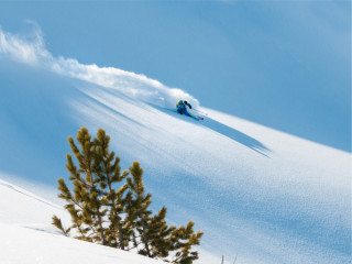 Image pour Le ski hors-piste