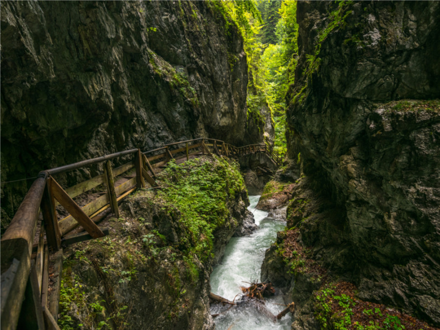 Nature Tyrol