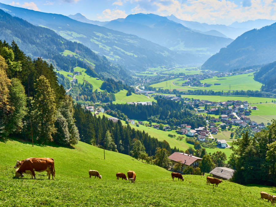 Voyage nature Tyrol