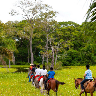Image pour Booking.com - hébergement Pantanal