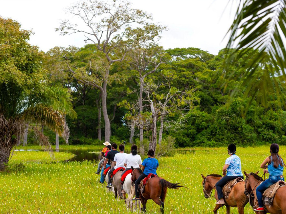 Hébergement et excursions dans le Pantanal