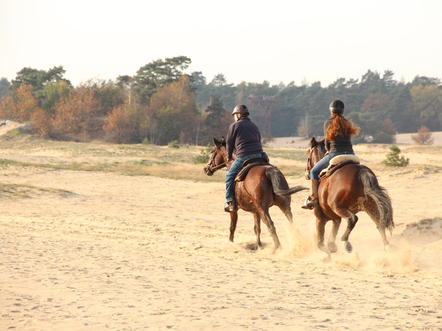 Equitation à Kootwijk