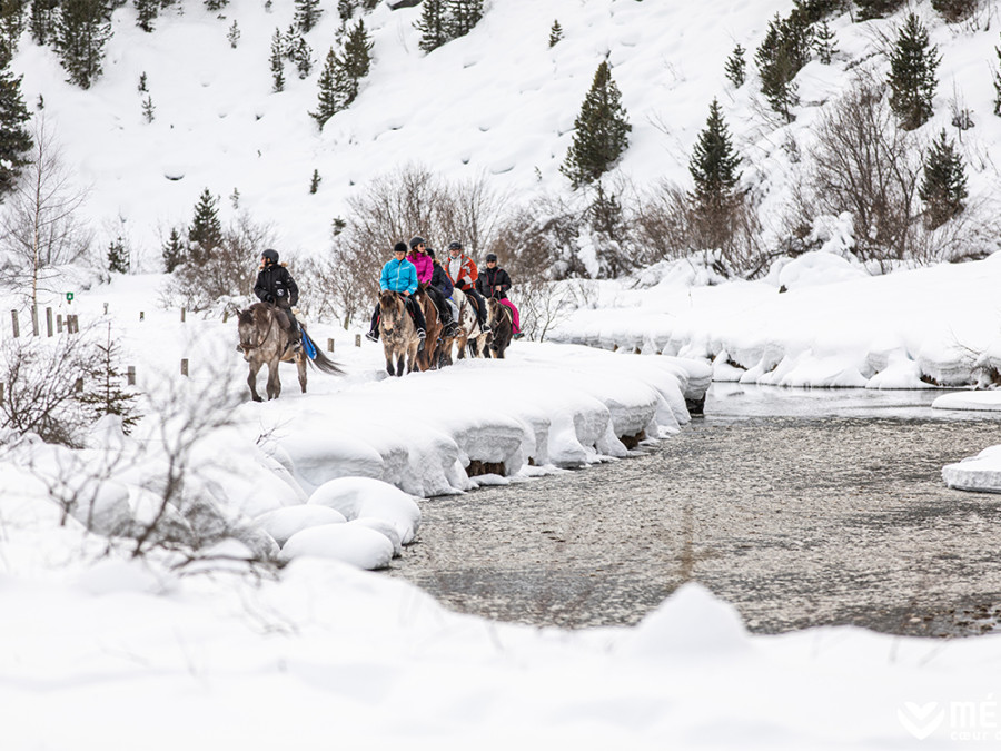 Équitation en hiver à Méribel Équitation en hiver à Méribel