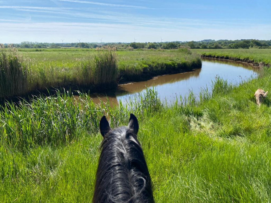 Équitation sur la côte atlantique Équitation sur la côte atlantique