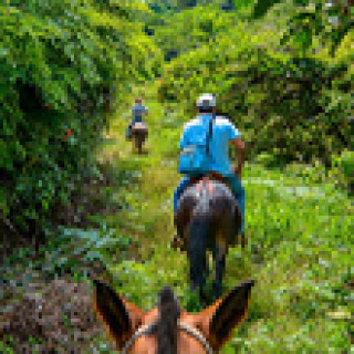 Image pour TUI - Voyage au Panama