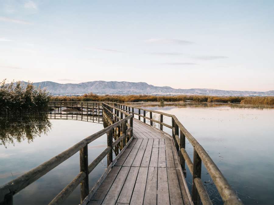 La nature dans la province d'Alicante