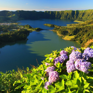 Image pour Açores