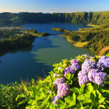 Image pour Açores