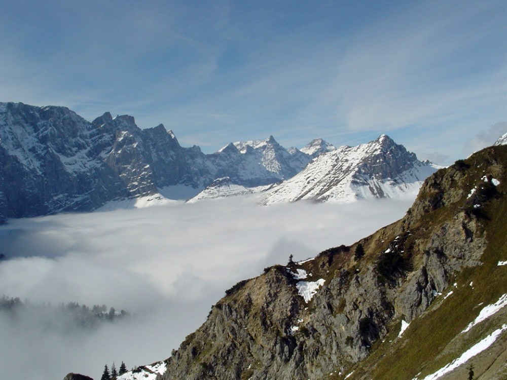 Nature dans les Alpes
