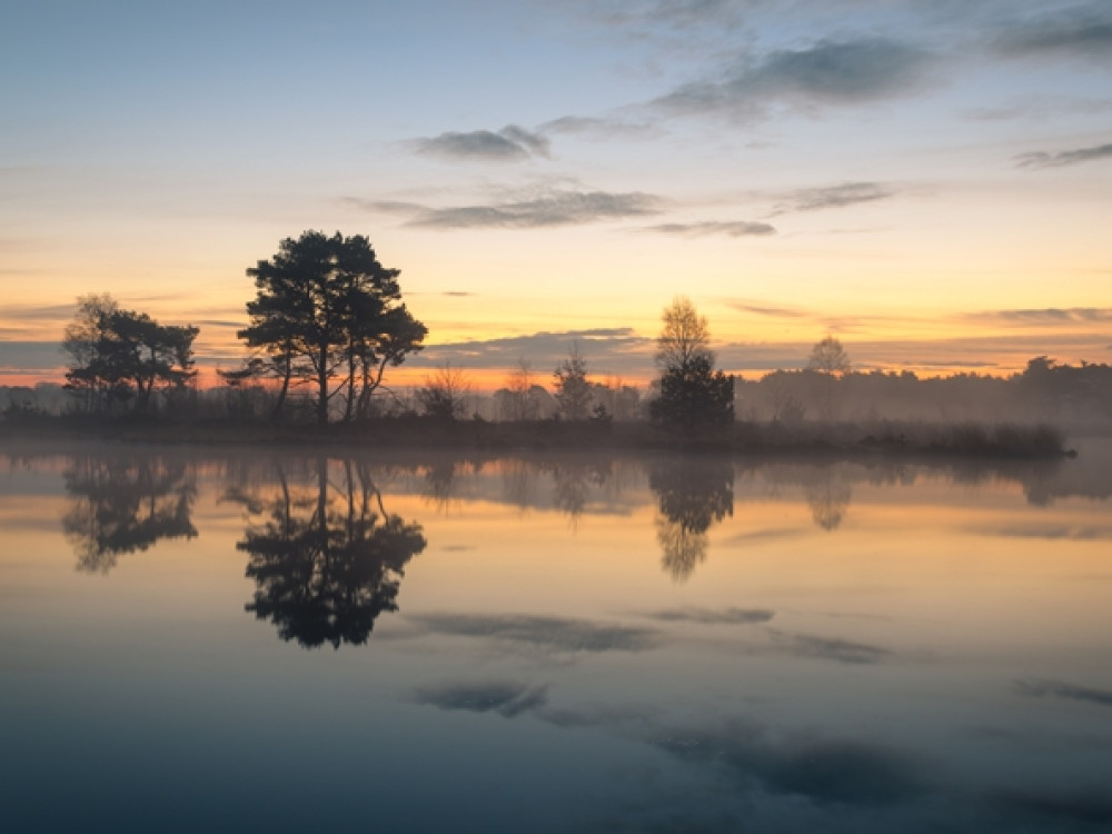 Kalmthoutse Heide