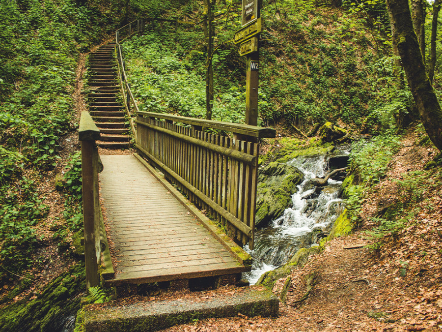 Montagnes rousses Sauerland Montagnes rousses Sauerland