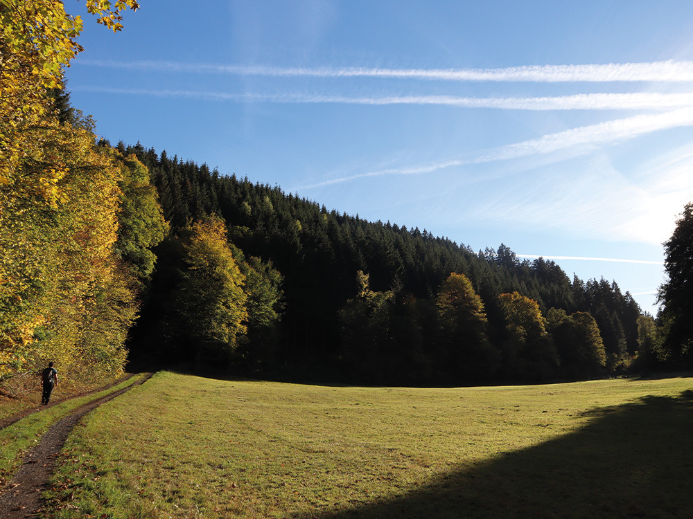 Randonner dans le Sauerland
