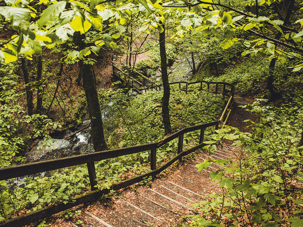 Sentier du Rothaarsteig