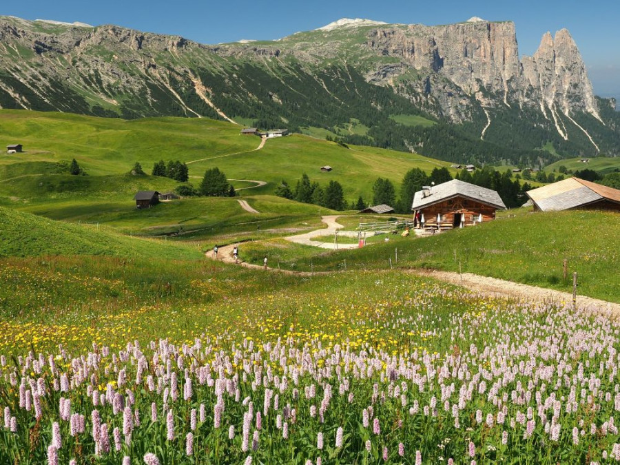 Seiser Alm, plus haut alpage d'Europe