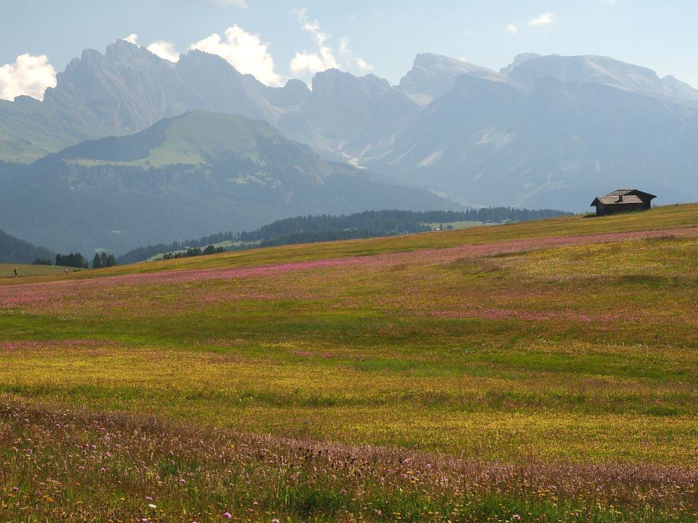 L'Alpe de Siusi