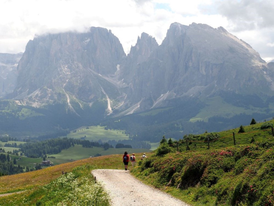 Alpe di Siusi