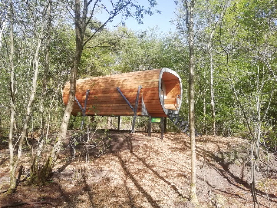 Skycabin dans les arbres Skycabin dans les arbres