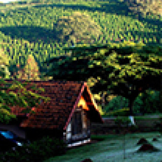 Image pour Booking.com - Dormir au café