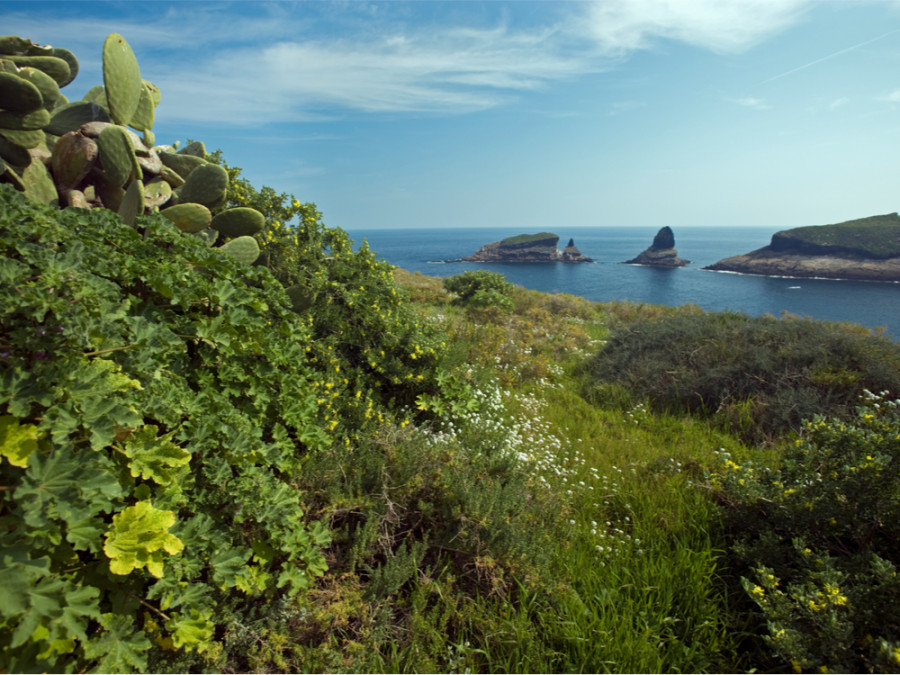 Islas Columbretes Islas Columbretes