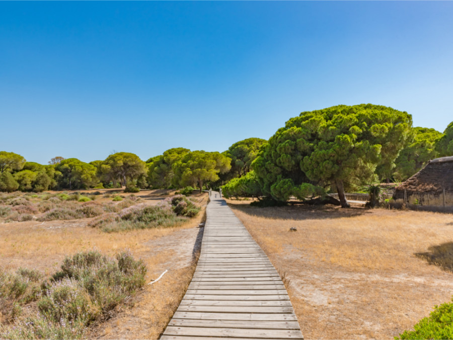 La nature dans le sud de l'Andalousie
