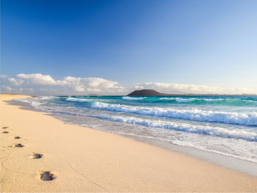 La nature à Fuerteventura