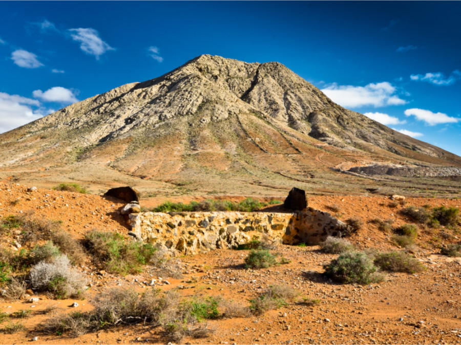 Voyage nature à Fuerteventura
