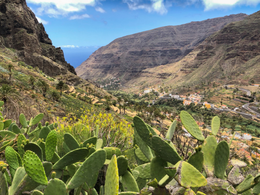 Nature des Îles Canaries