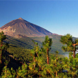 Image pour Tenerife